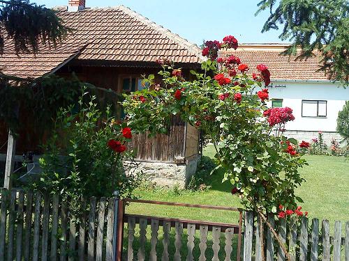 ����������� ���� 2010